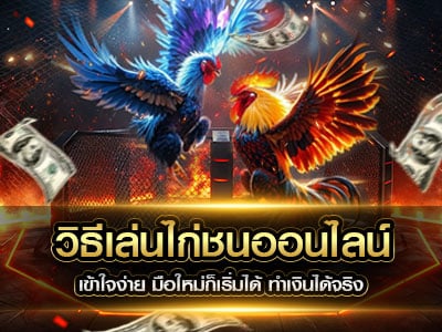 ตีไก่ออนไลน์
